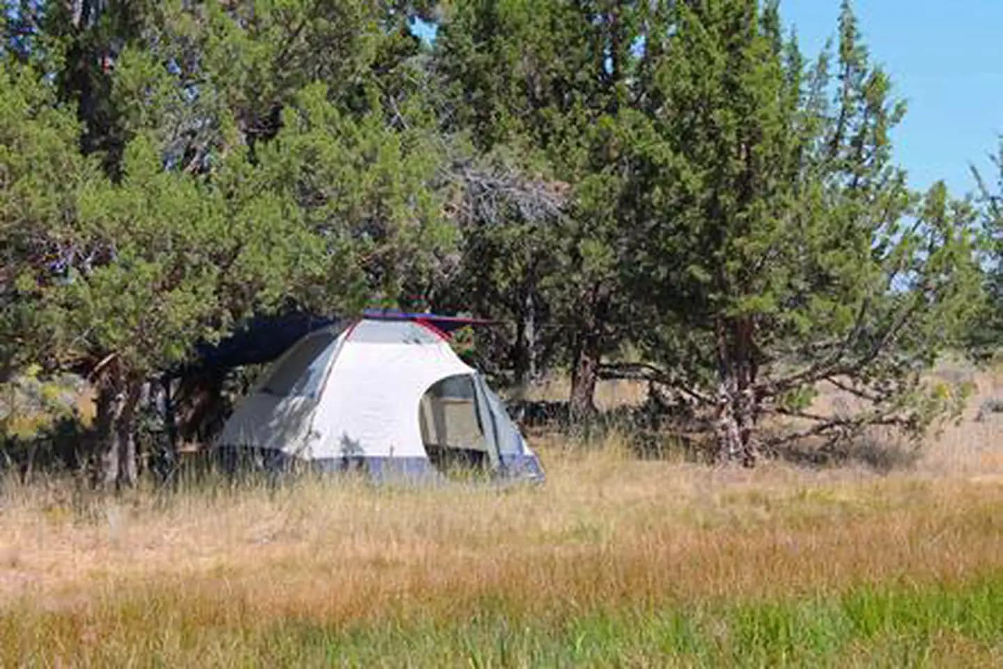 Reynolds Pond Recreation Site