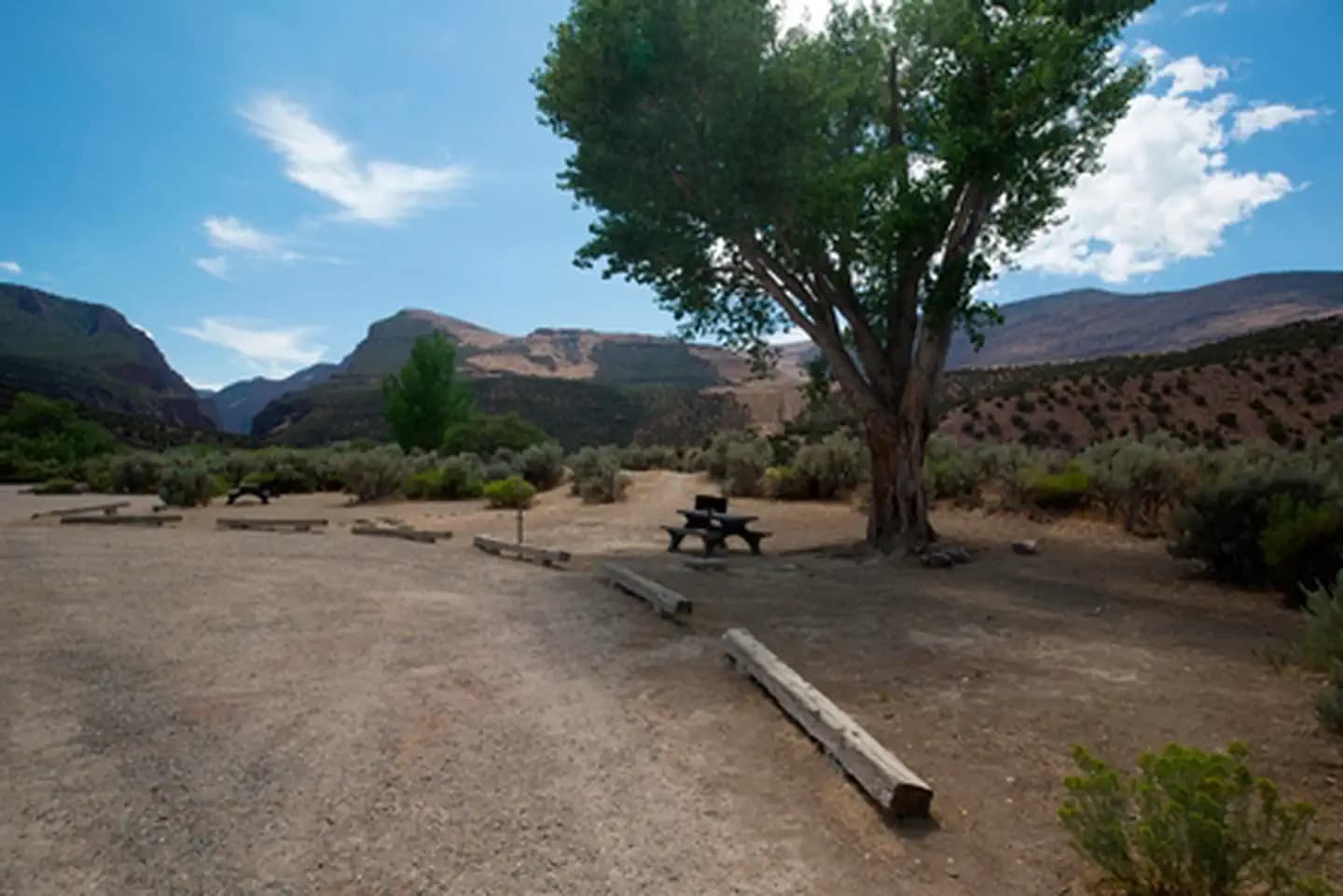 Gates of Lodore Campground Campsite 19