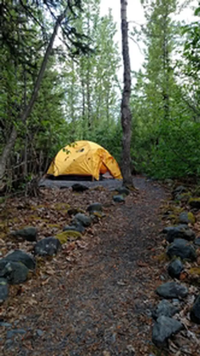 Exit Glacier Camground campsite