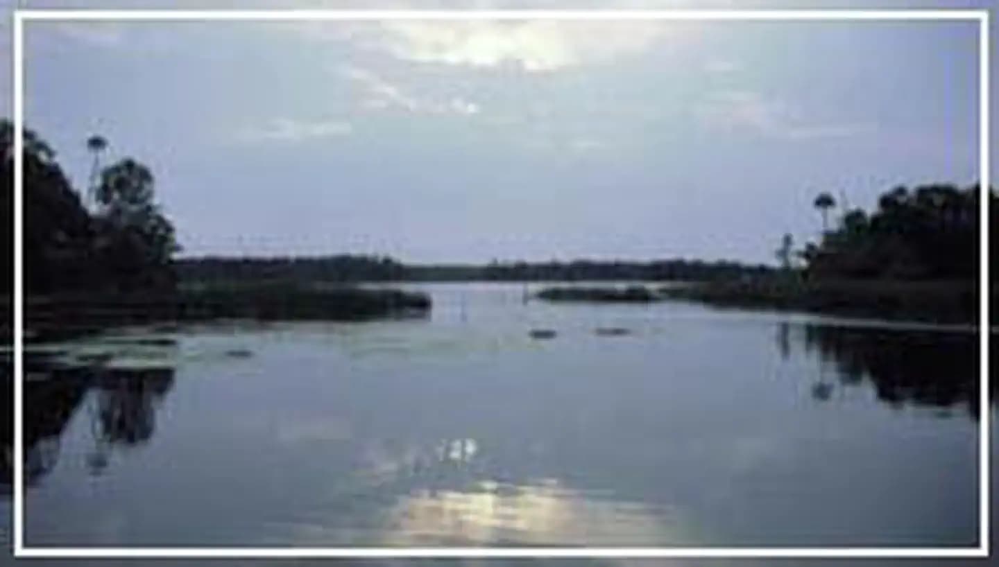 Chassahowitzka Wilderness