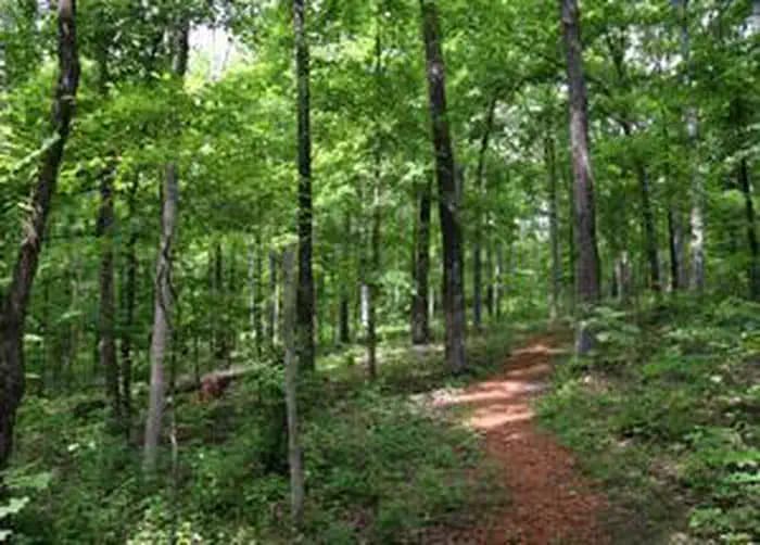 Crab Orchard Wilderness