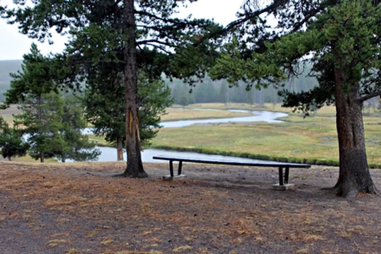 Bench overlooking Firehole River