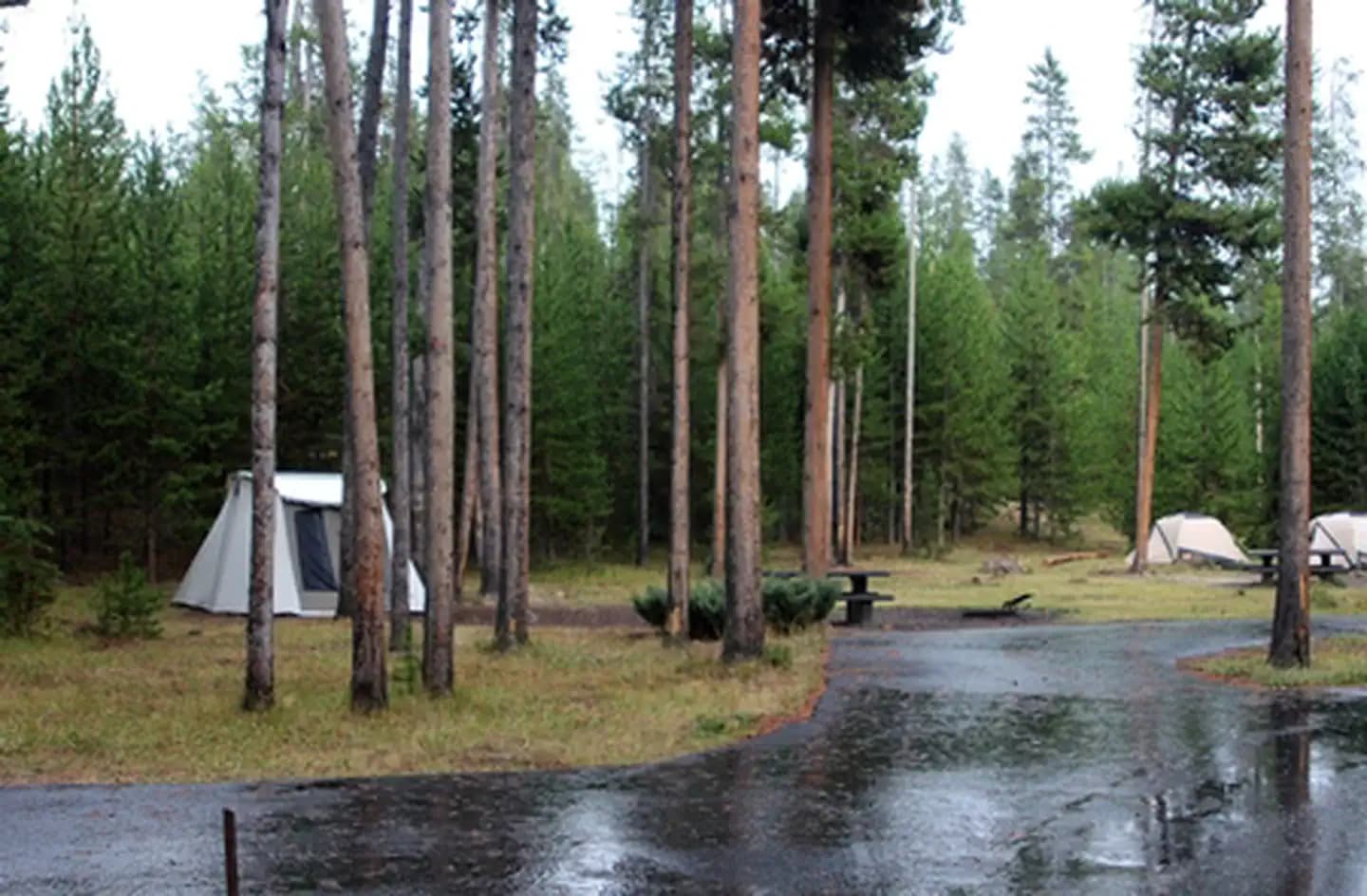 Madison Campground