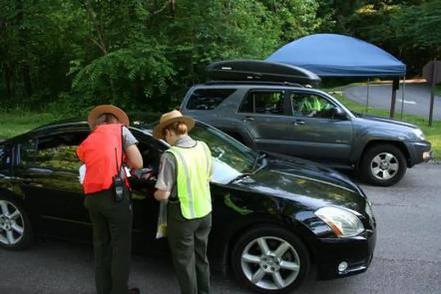 Firefly Event Lottery