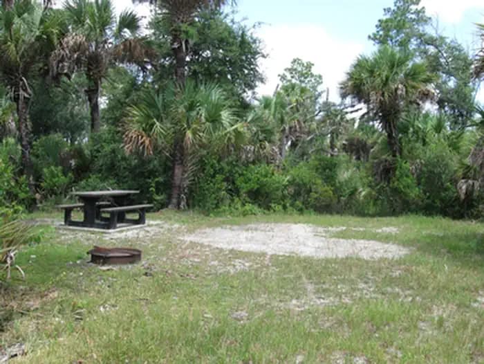 A Campsite in Gator Head Campground
