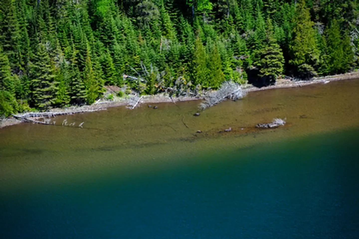 Aerial View of the Water and Shoreline of Duncan Bay
