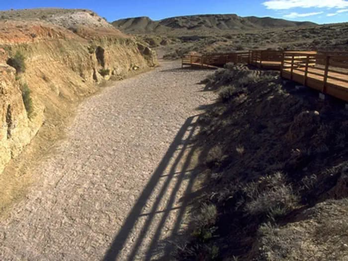 Red Gulch Dinosaur Tracksite