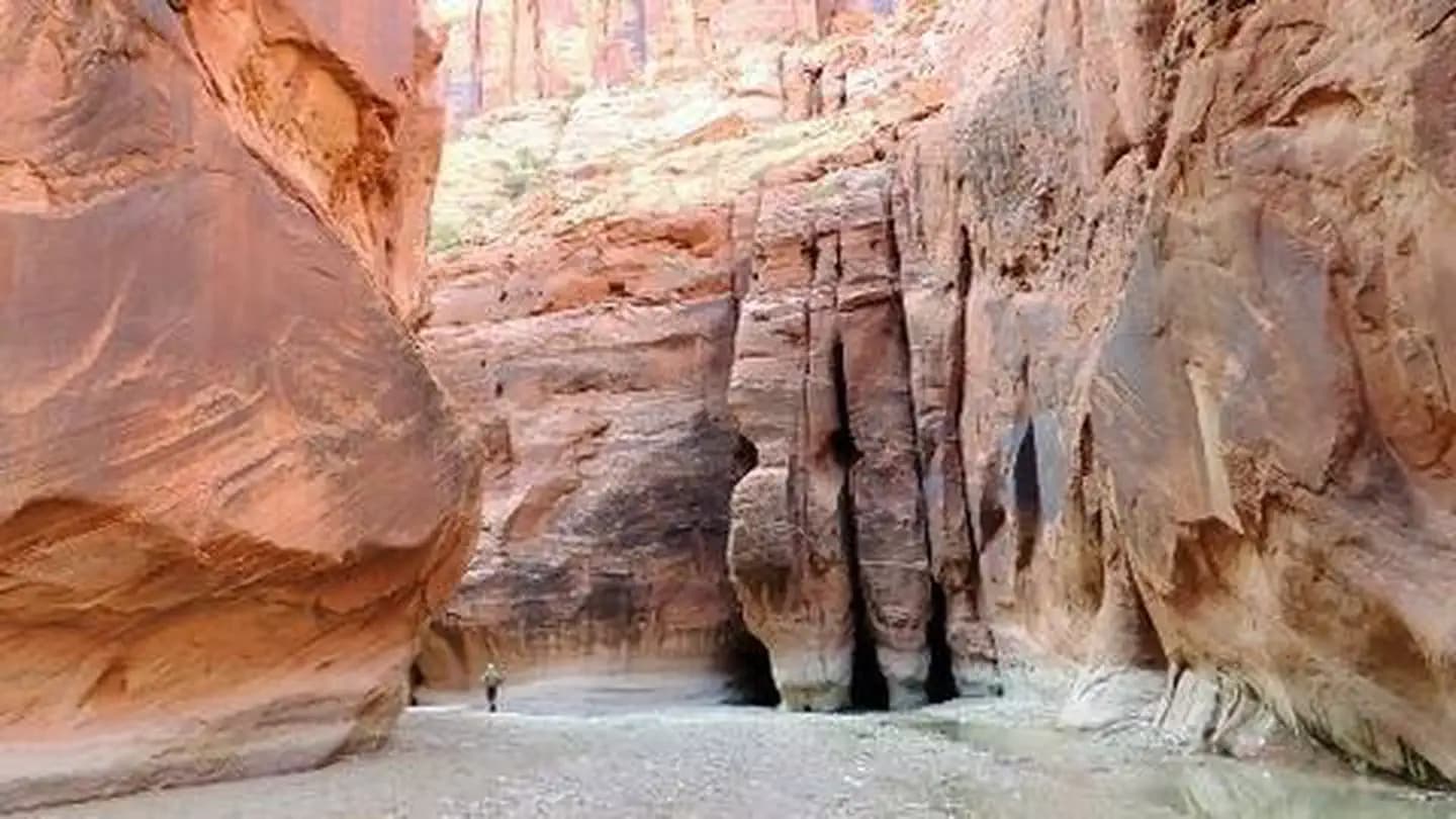 Paria Canyon-Vermilion Cliffs Wilderness