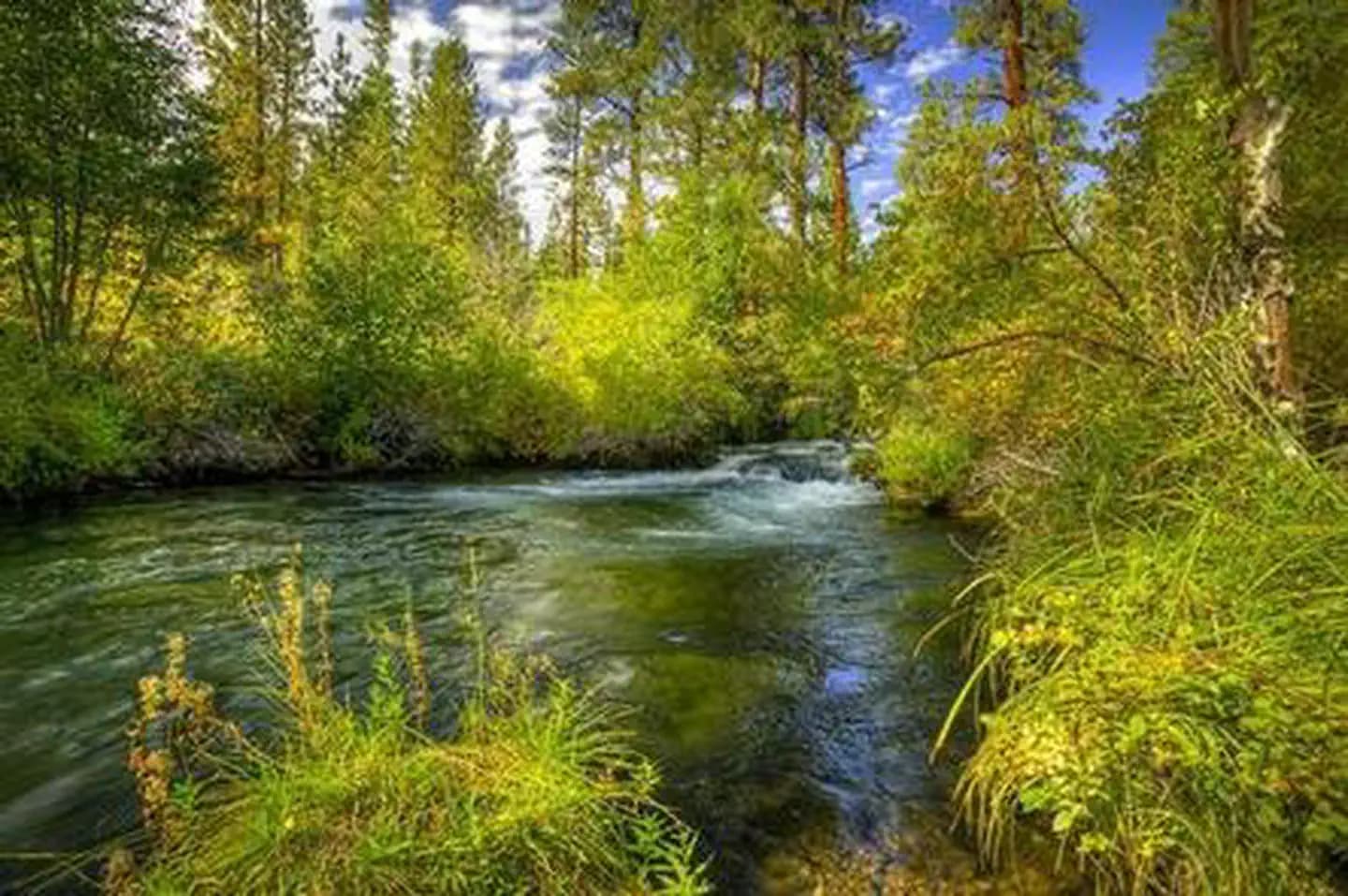 LOWER CANYON CREEK CAMPGROUND