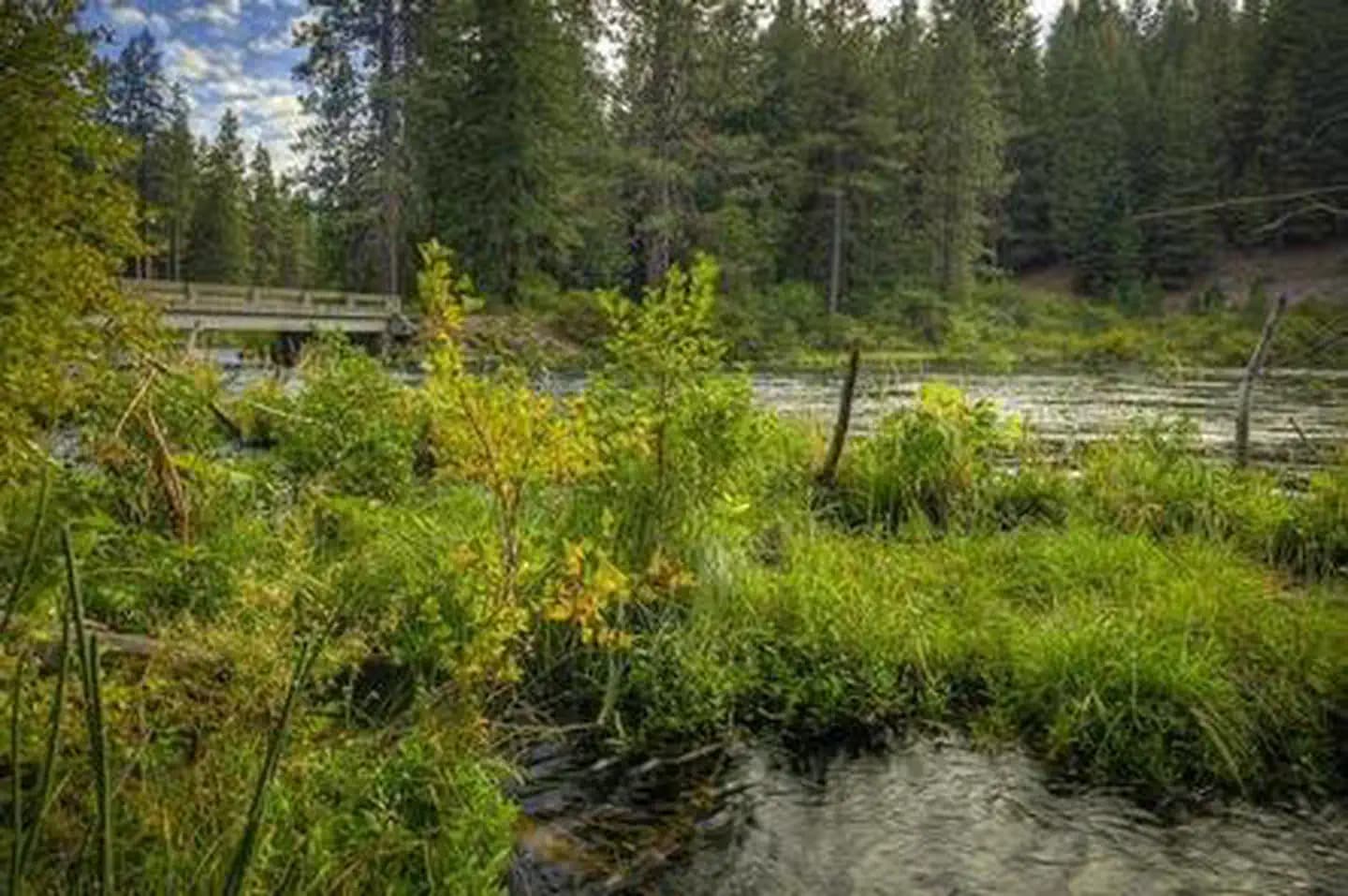 LOWER BRIDGE CAMPGROUND