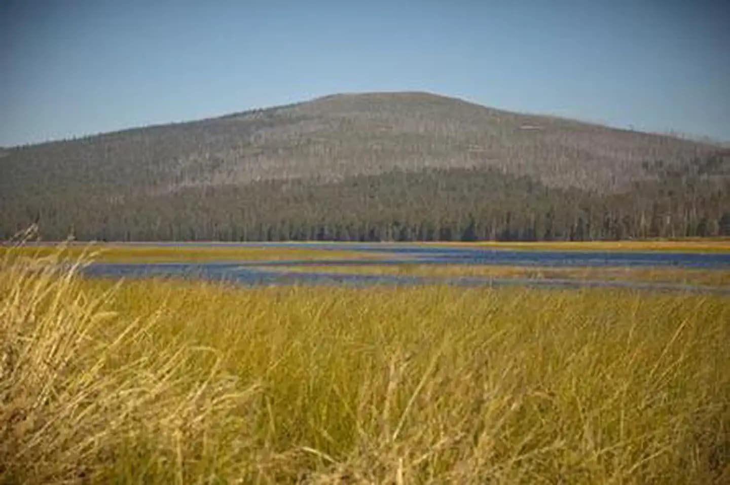 EAST DAVIS CAMPGROUND