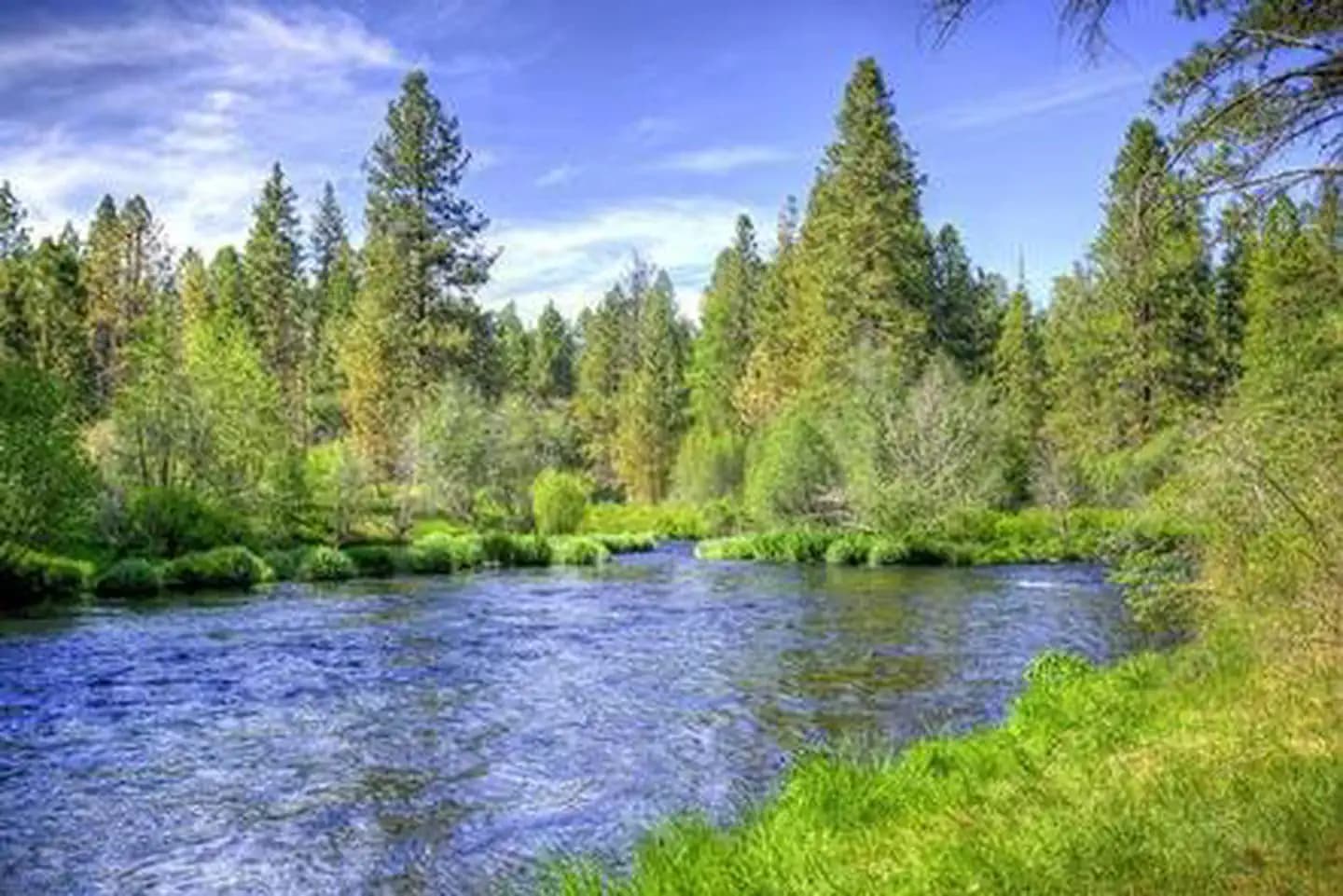 PINE REST CAMPGROUND