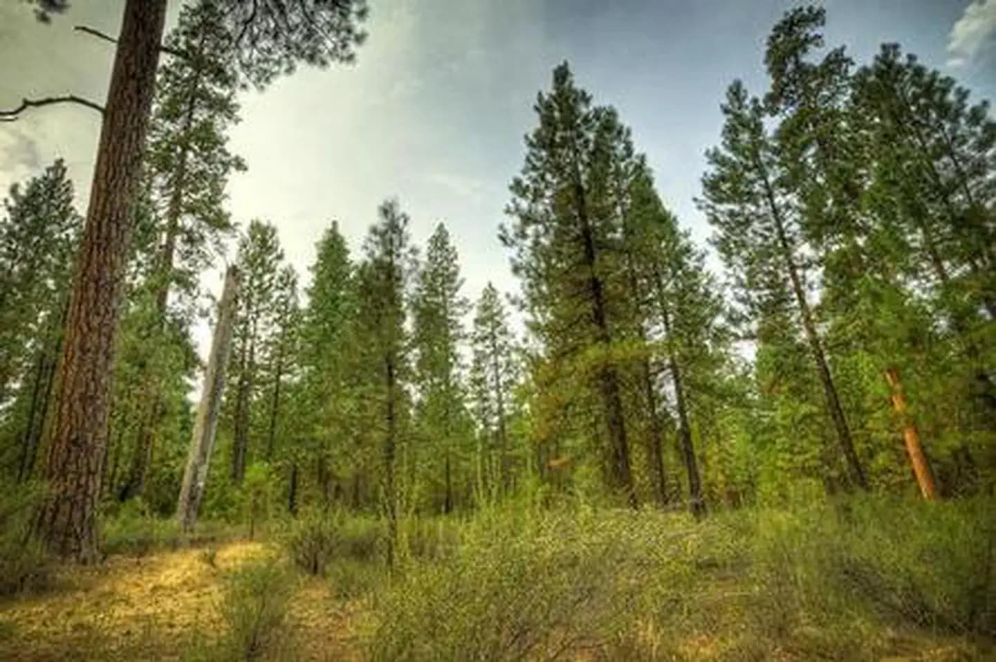 RIVERSIDE CAMPGROUND