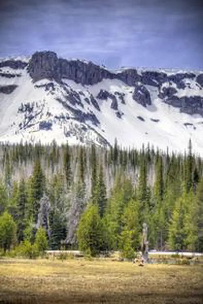 THREE CREEKS MEADOW HORSE CAMP