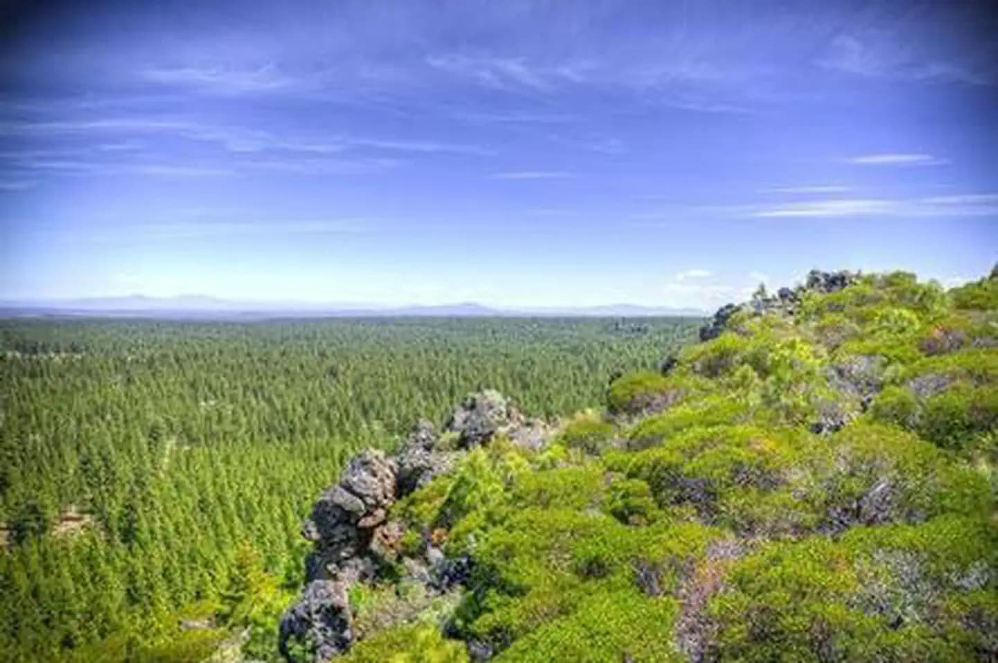 THREE CREEKS MEADOW HORSE CAMP
