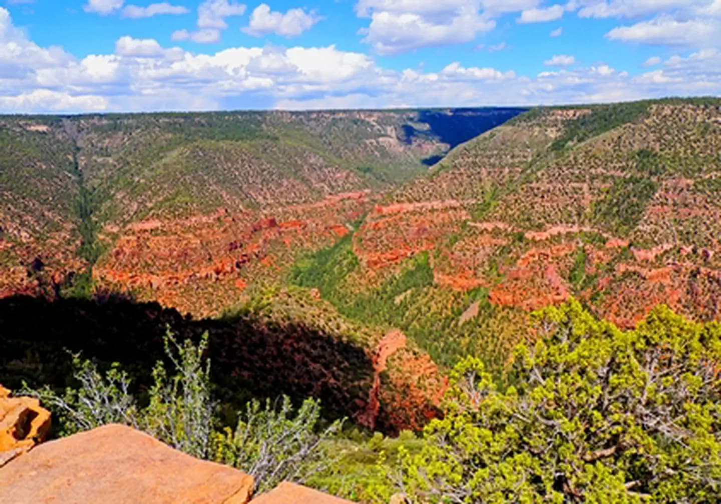 Dolores River Overlook 