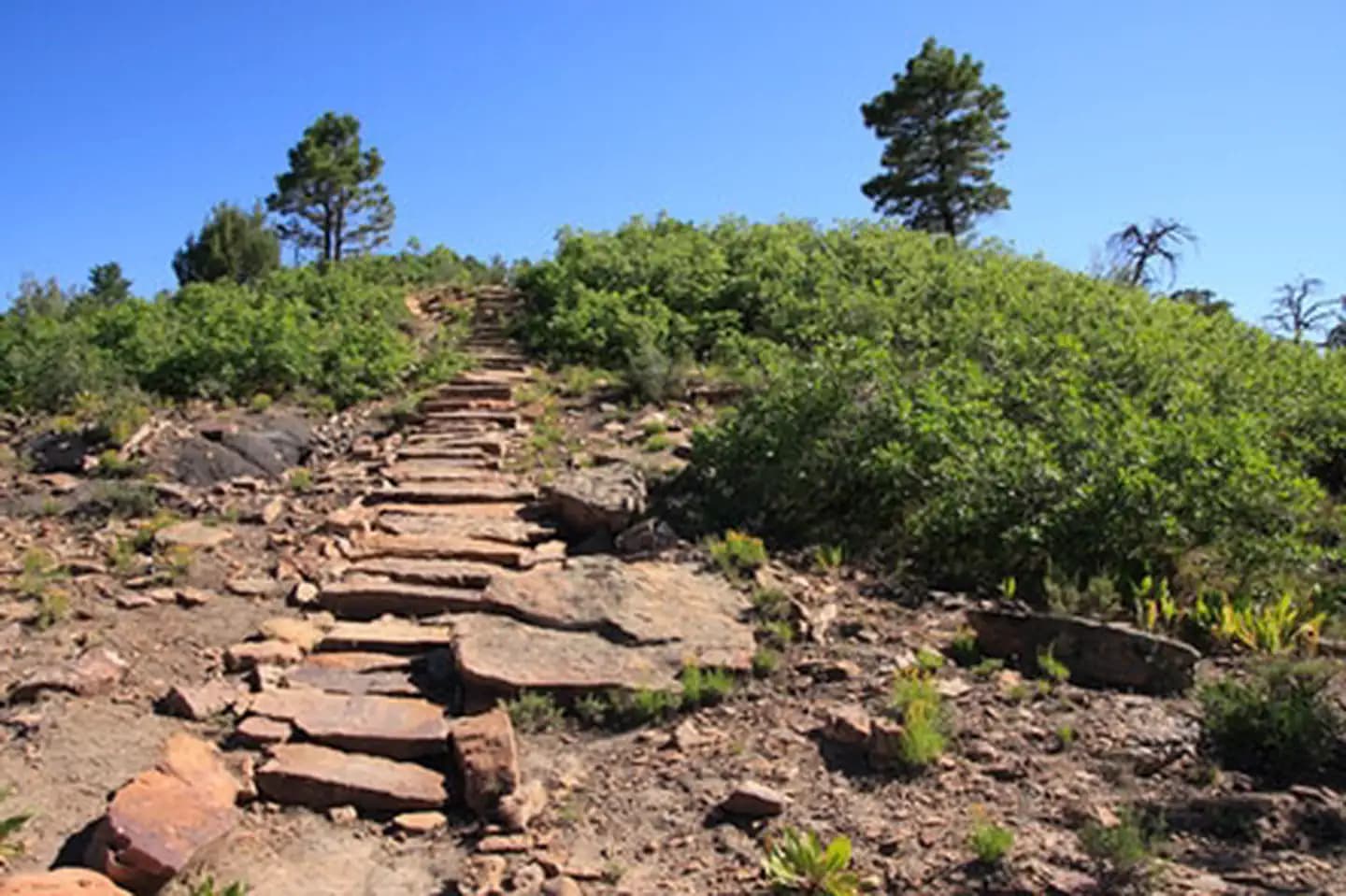 Dolores River Overlook