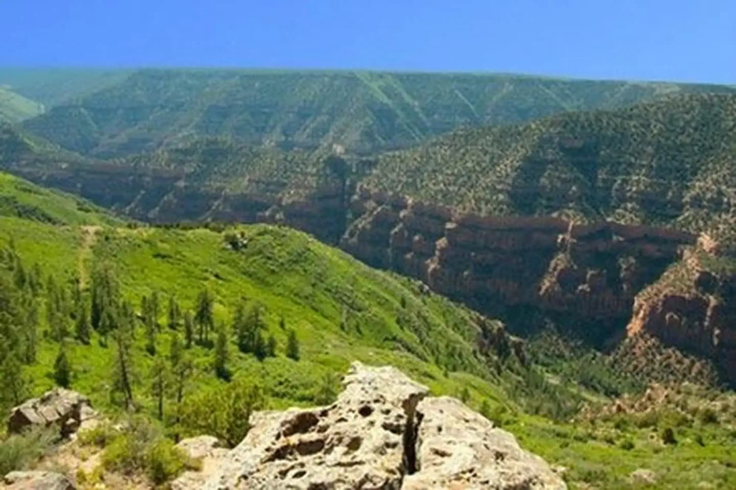 Dolores River Overlook