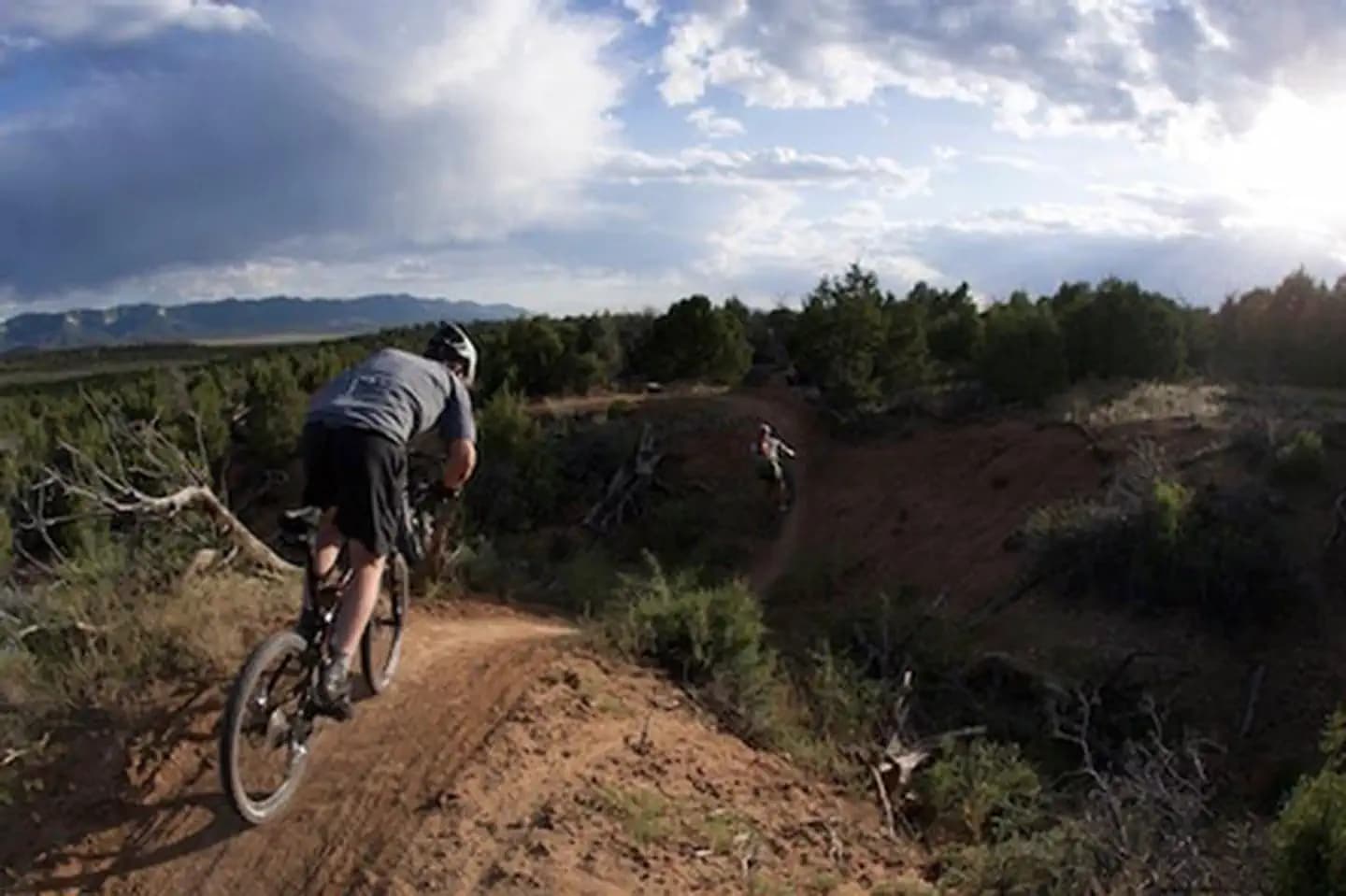 Phil's World Ribcage