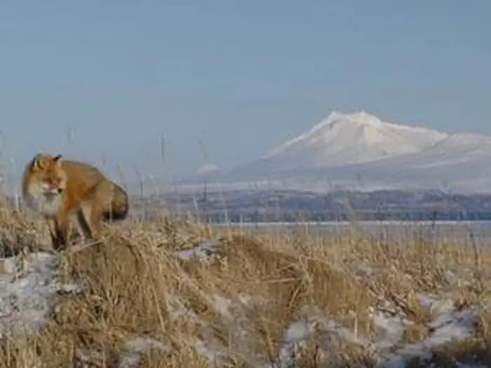 Izembek Wilderness