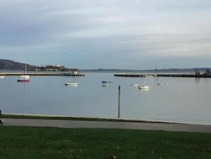 Boats anchored in Aquatic Park Cove