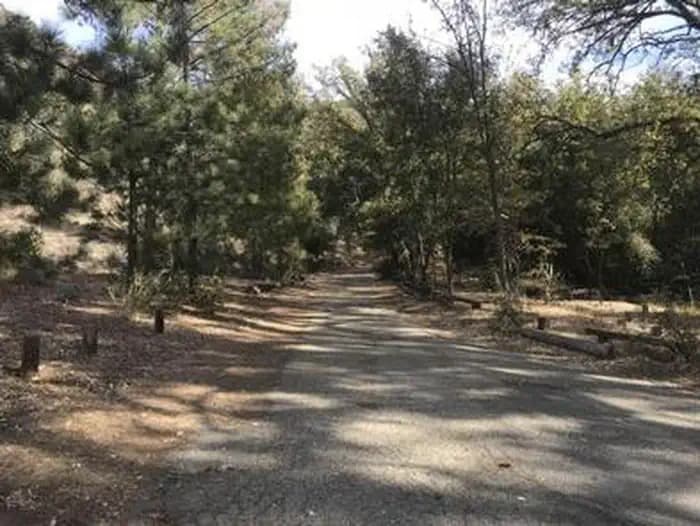 DAVY BROWN CAMPGROUND