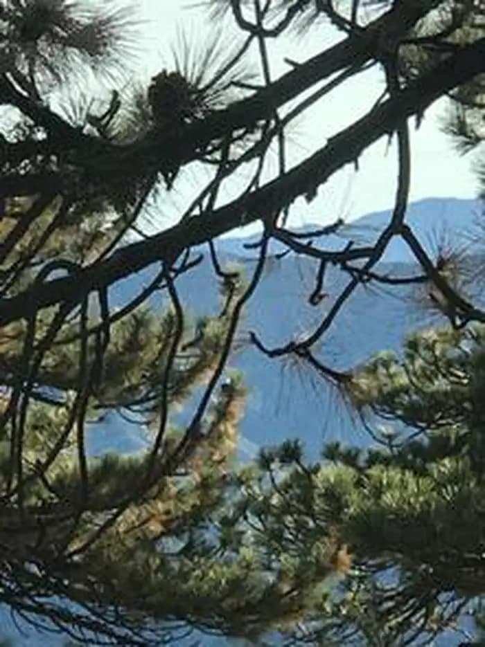 REYES PEAK CAMPGROUND