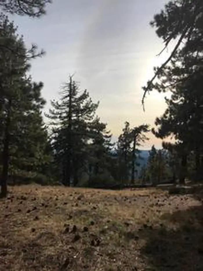 REYES PEAK CAMPGROUND