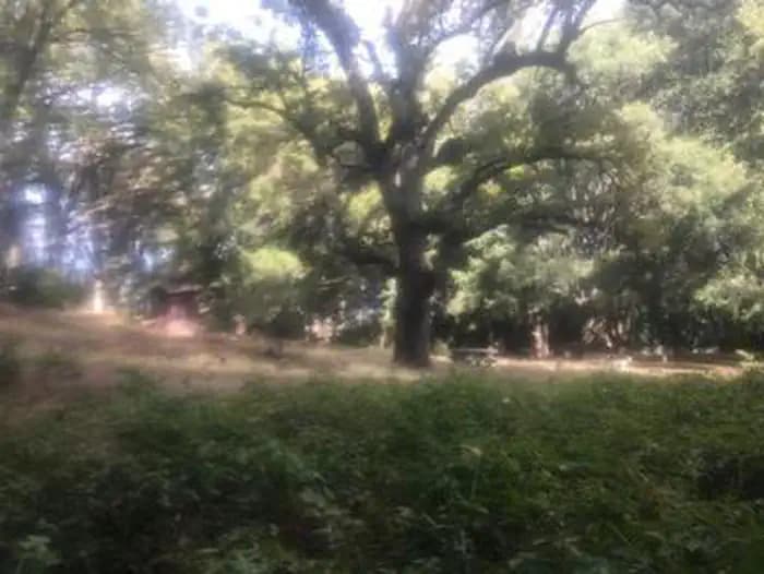 WHITE OAKS CAMPGROUND