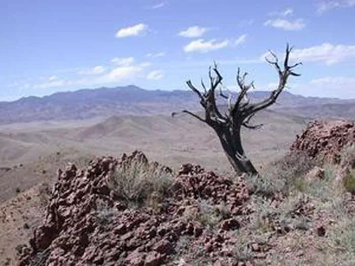 Bosque del Apache Wilderness