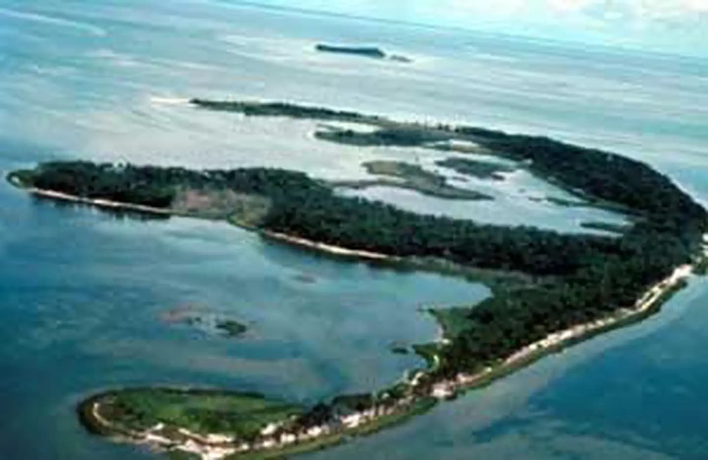 Cedar Keys Wilderness