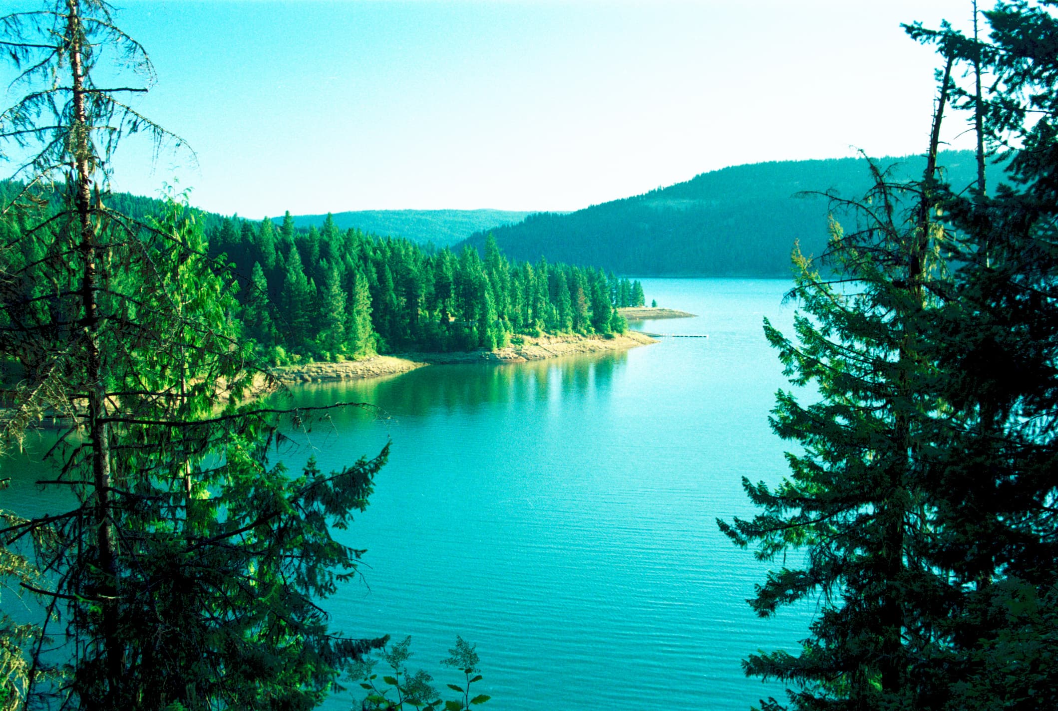 Dworshak State Park-Freeman Creek