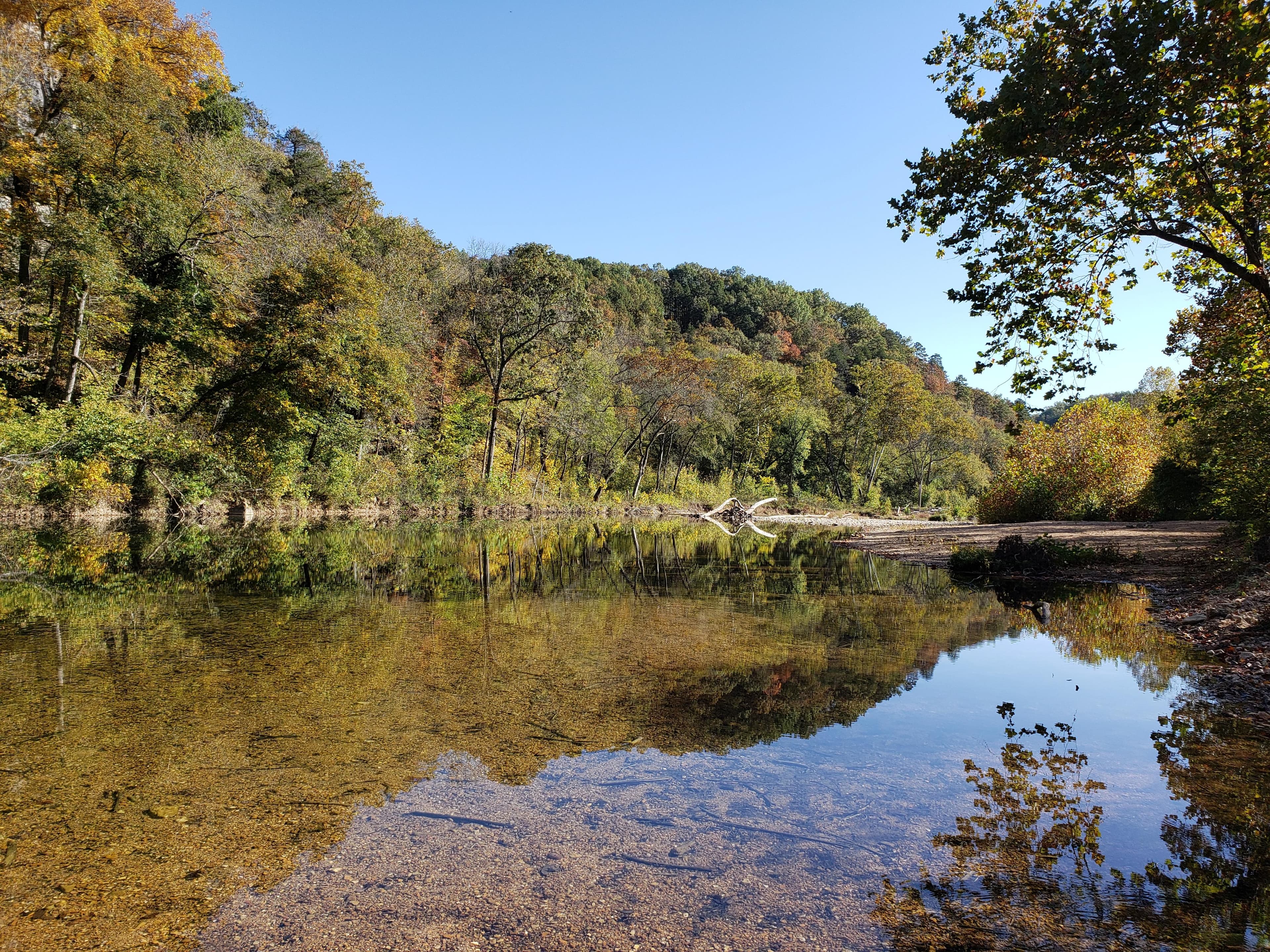 The Jacks Fork River is a fantastic place to see fall colors and wildlife.