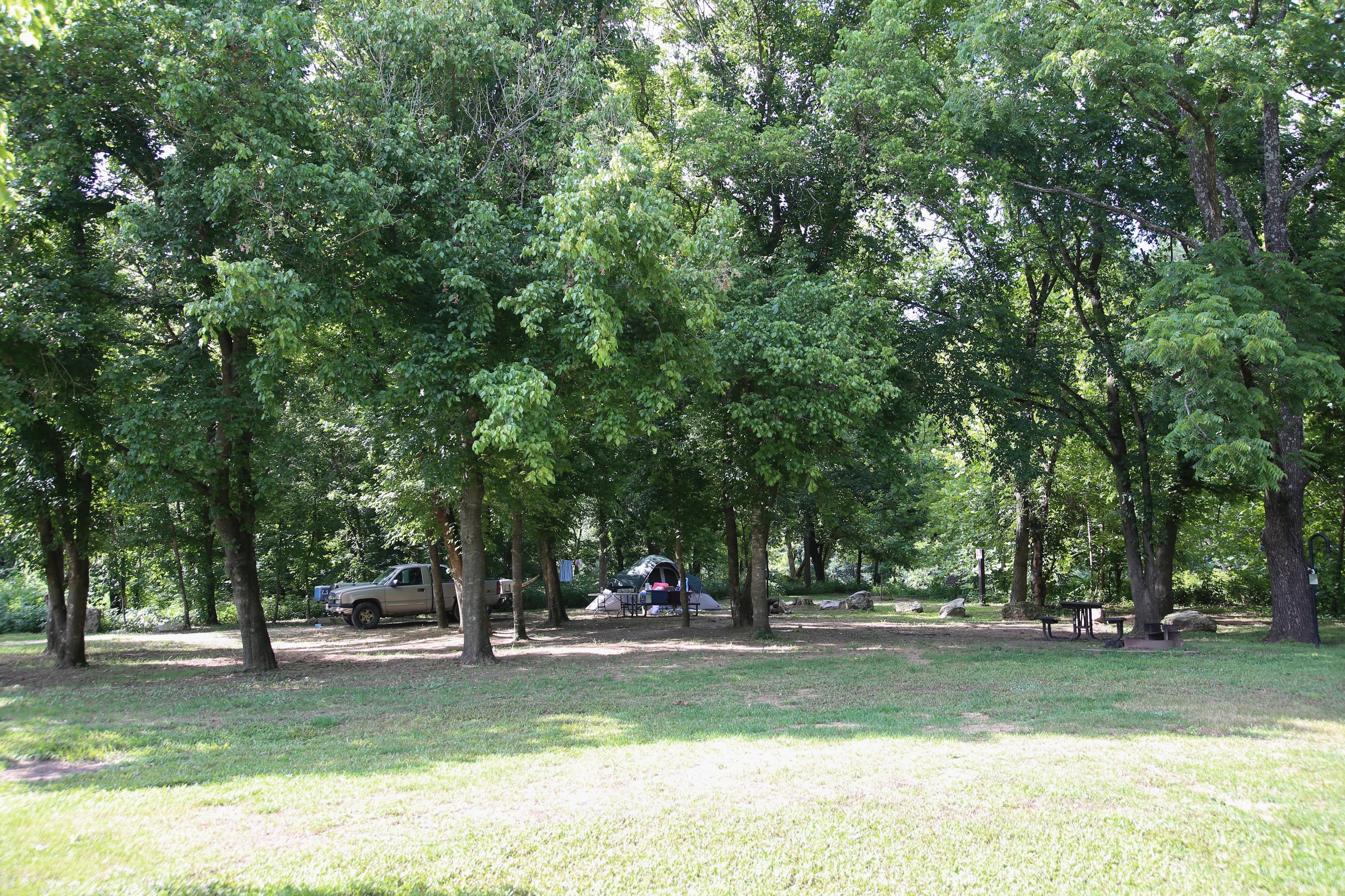 Two campsites at Broadfoot are shaded by tall trees.