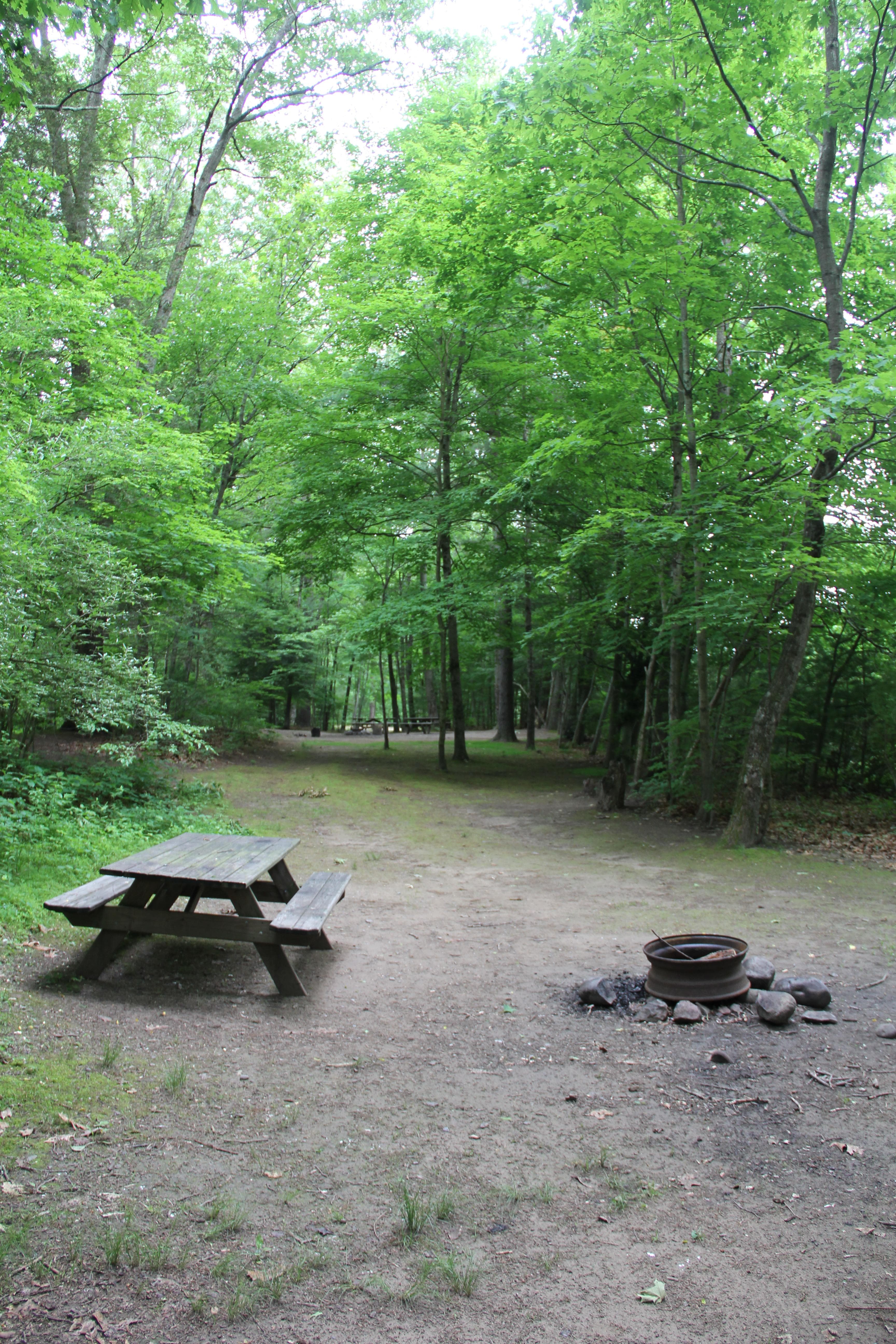 136 campsites are available at Dingmans Campground.