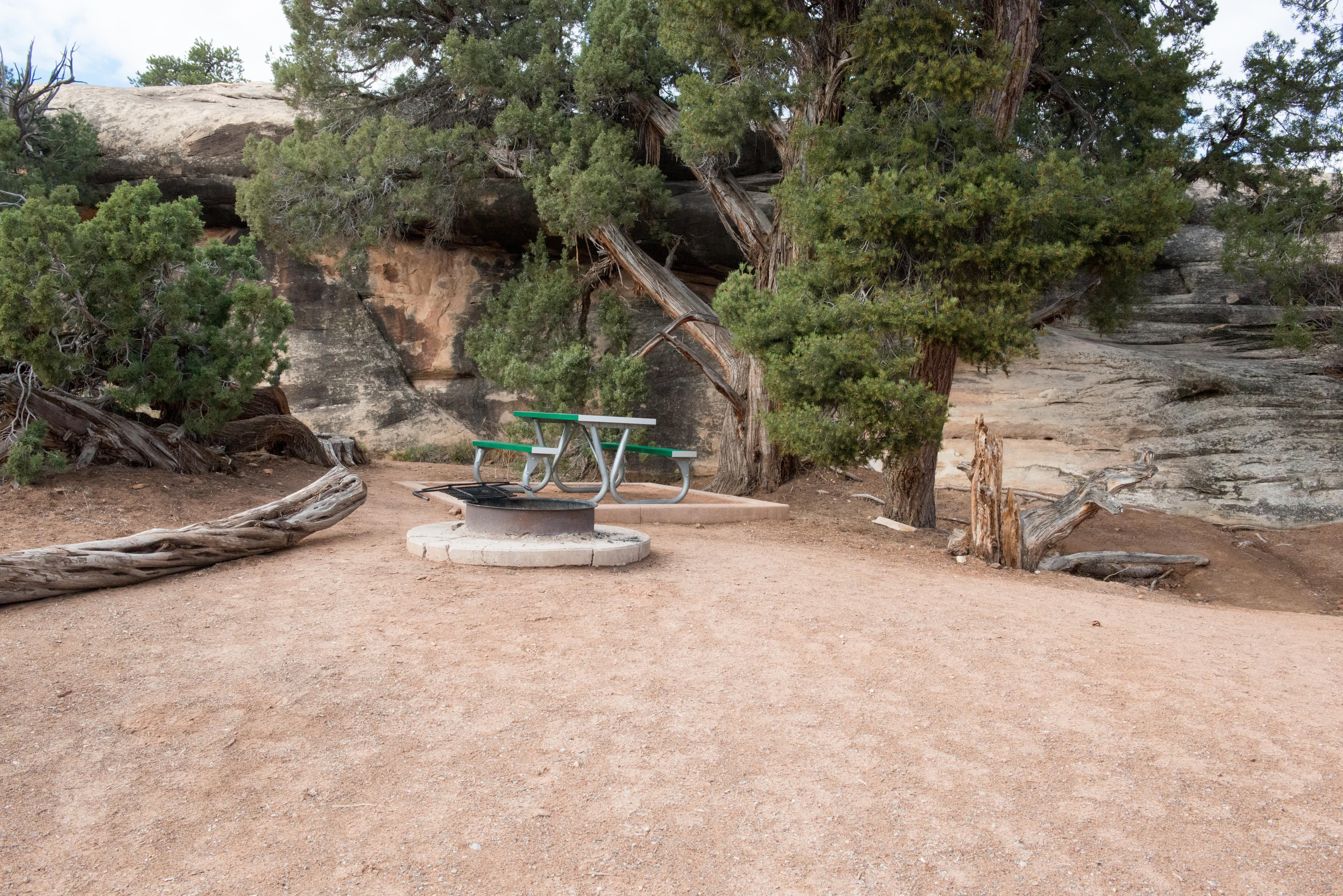 Campsites include fire rings, tent pads, and picnic tables.