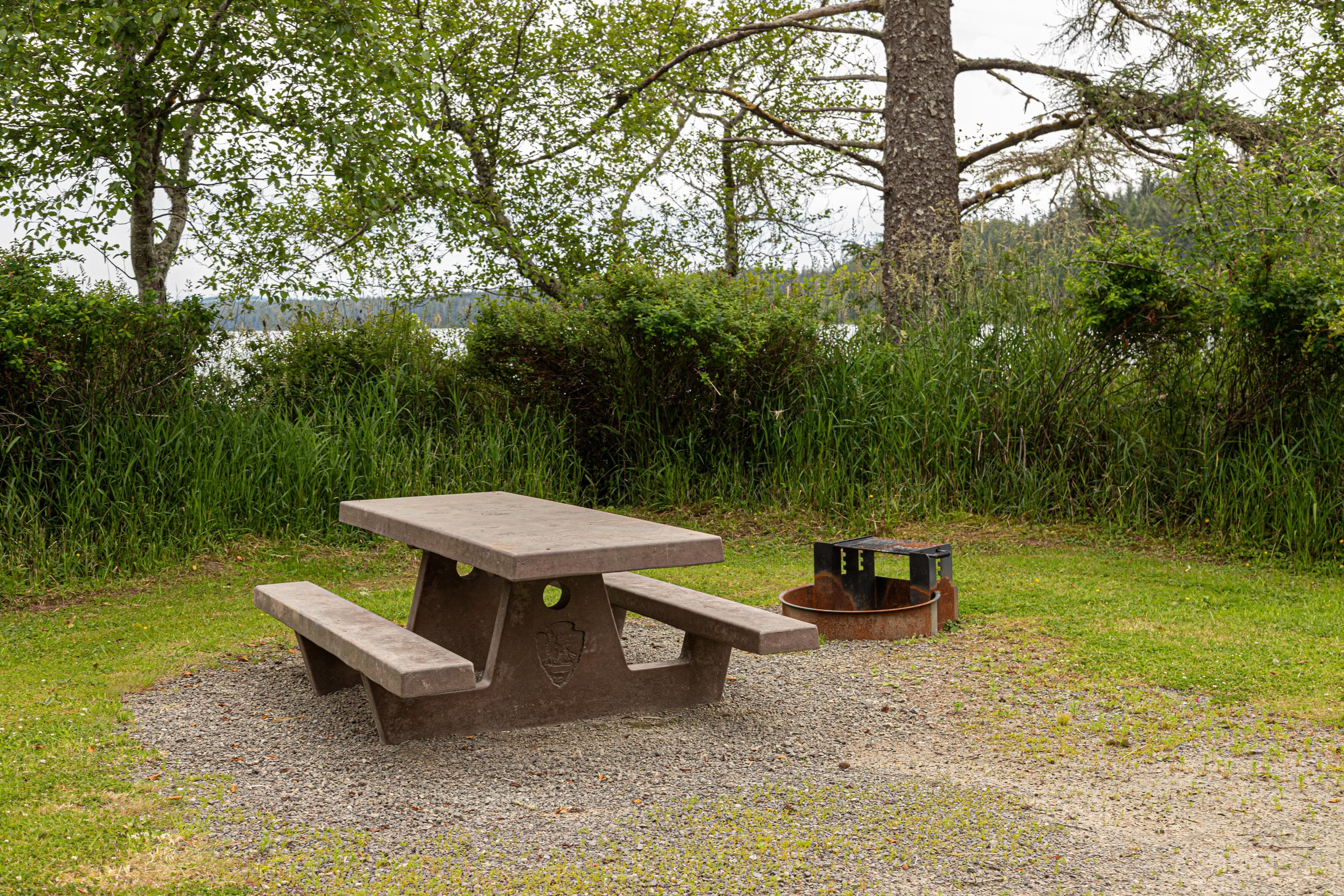 A campmsite at Ozette Campground.