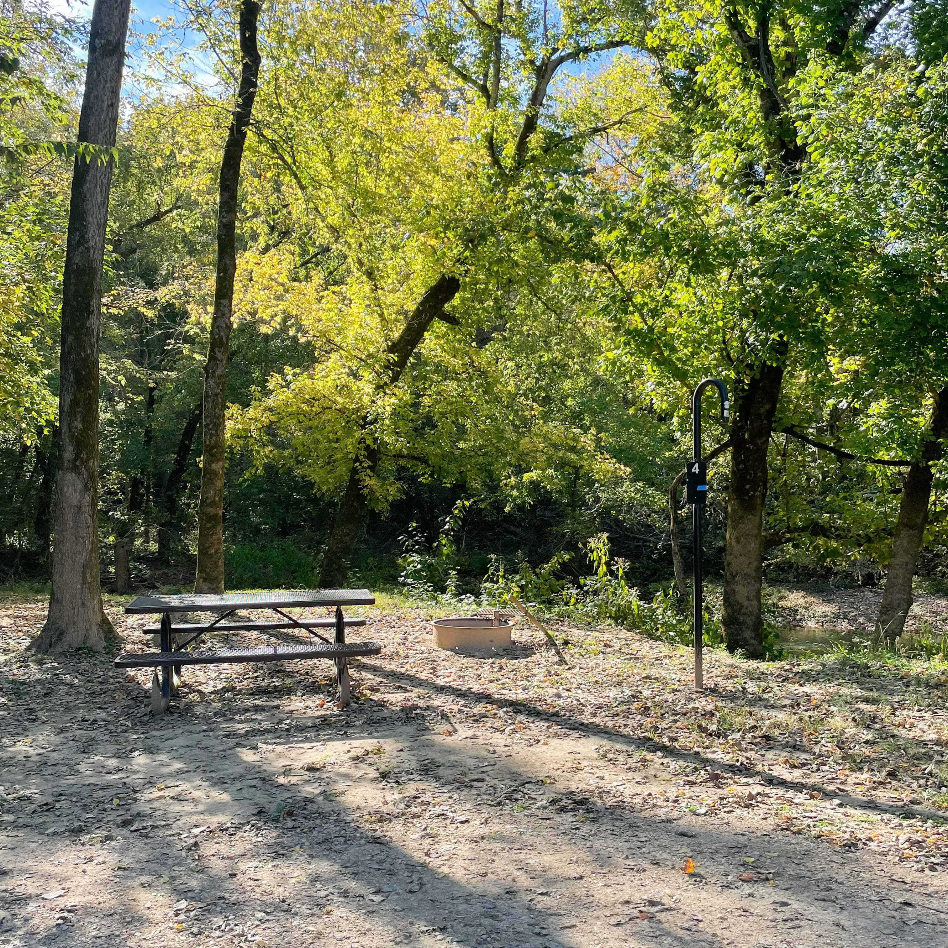 Shawnee Creek runs adjacent to a few sites in the campground.