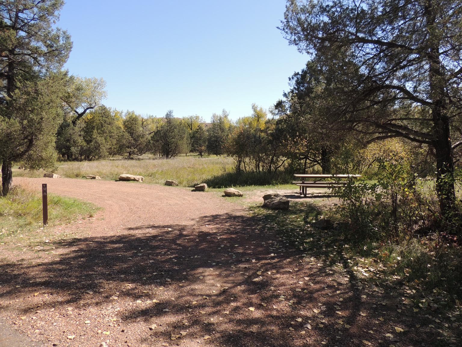 Sites in Cottonwood Campground range from full sun to full shade.