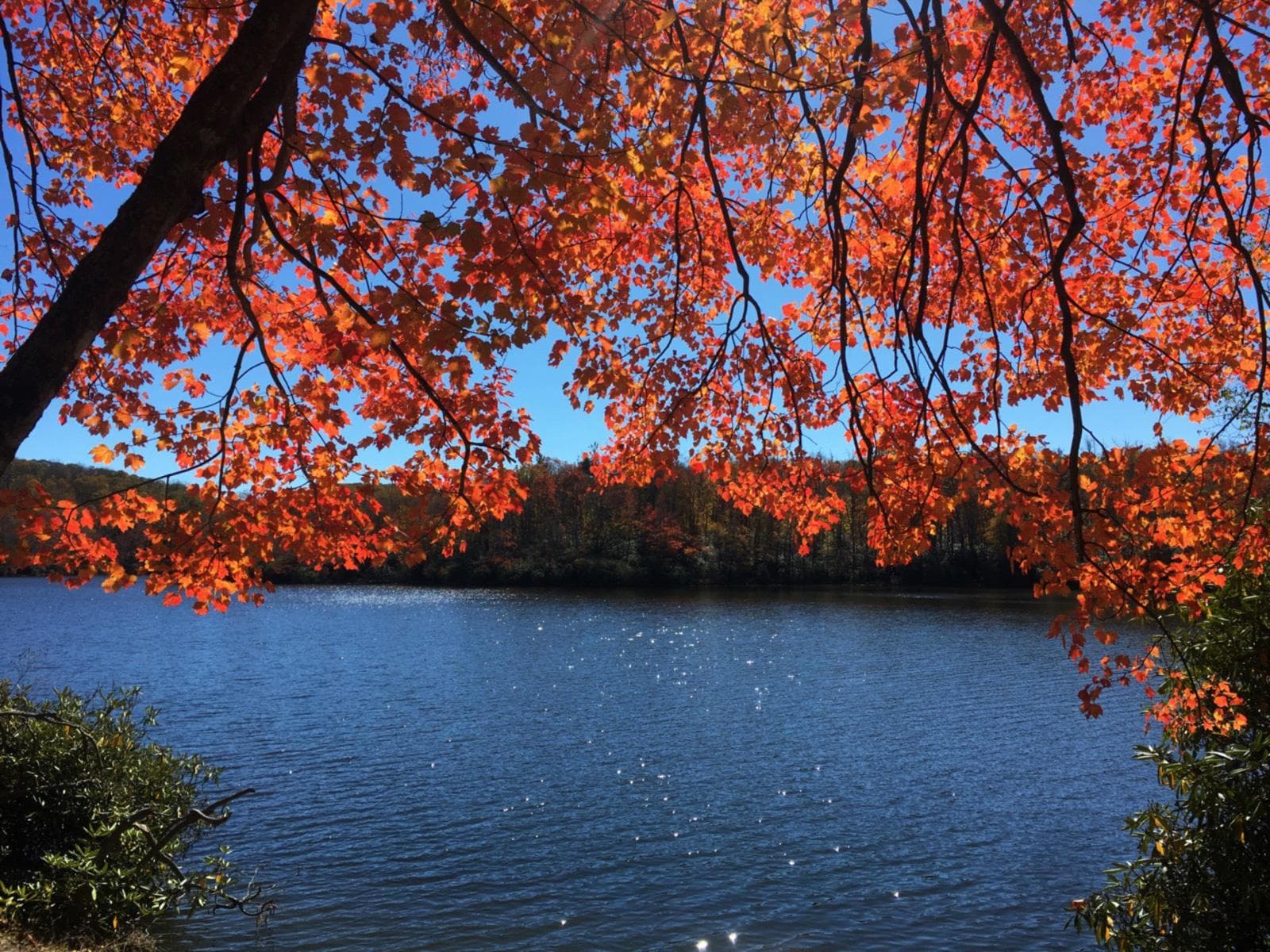 The sparkling waters of Price Lake in autumn.