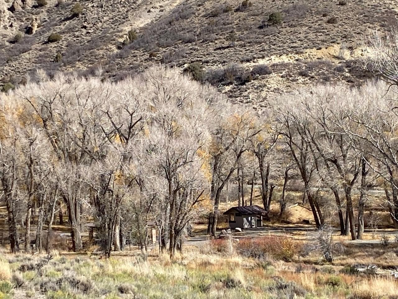 The campground is shaded by Cottonwood trees.