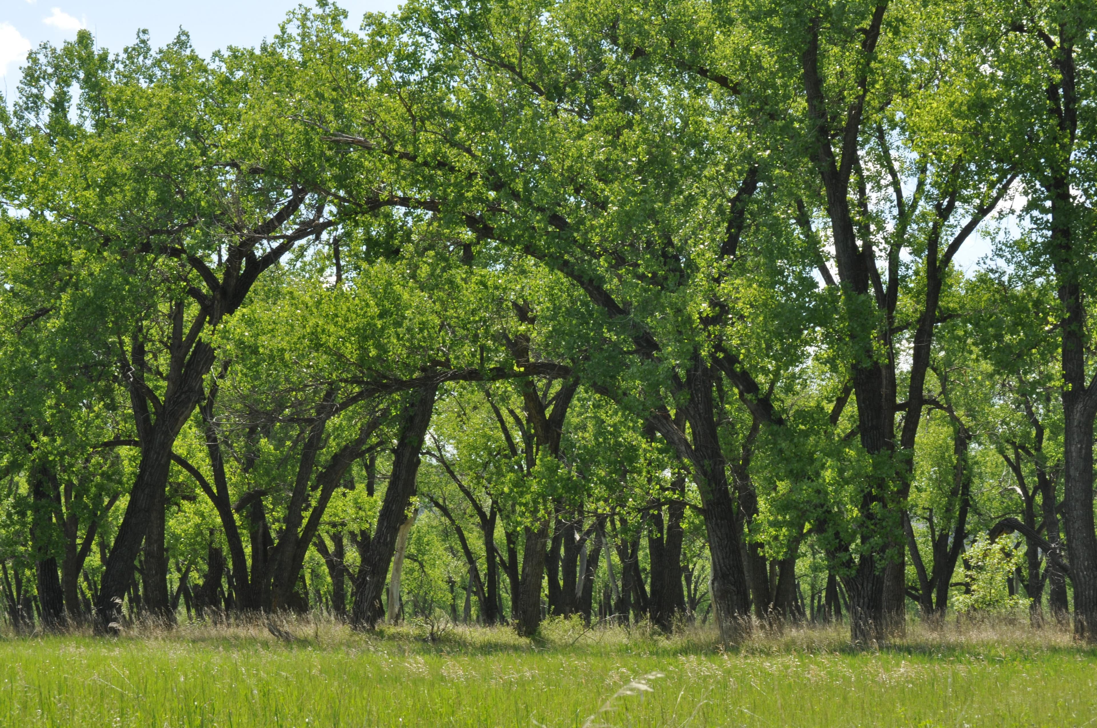 Juniper Campground boasts great solitude and scenery.