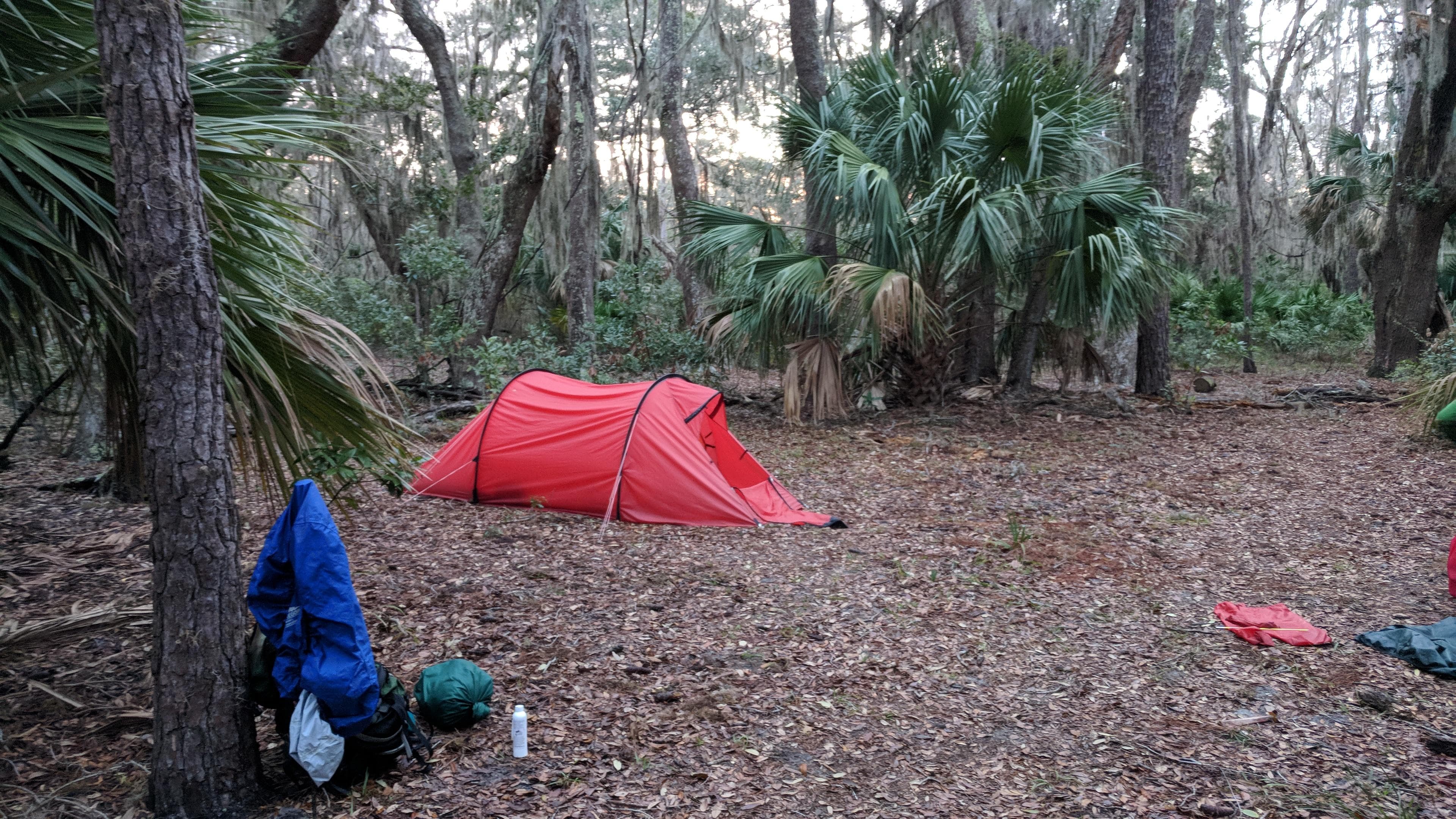 Camping at Brickhill Bluff Wilderness Campsite
