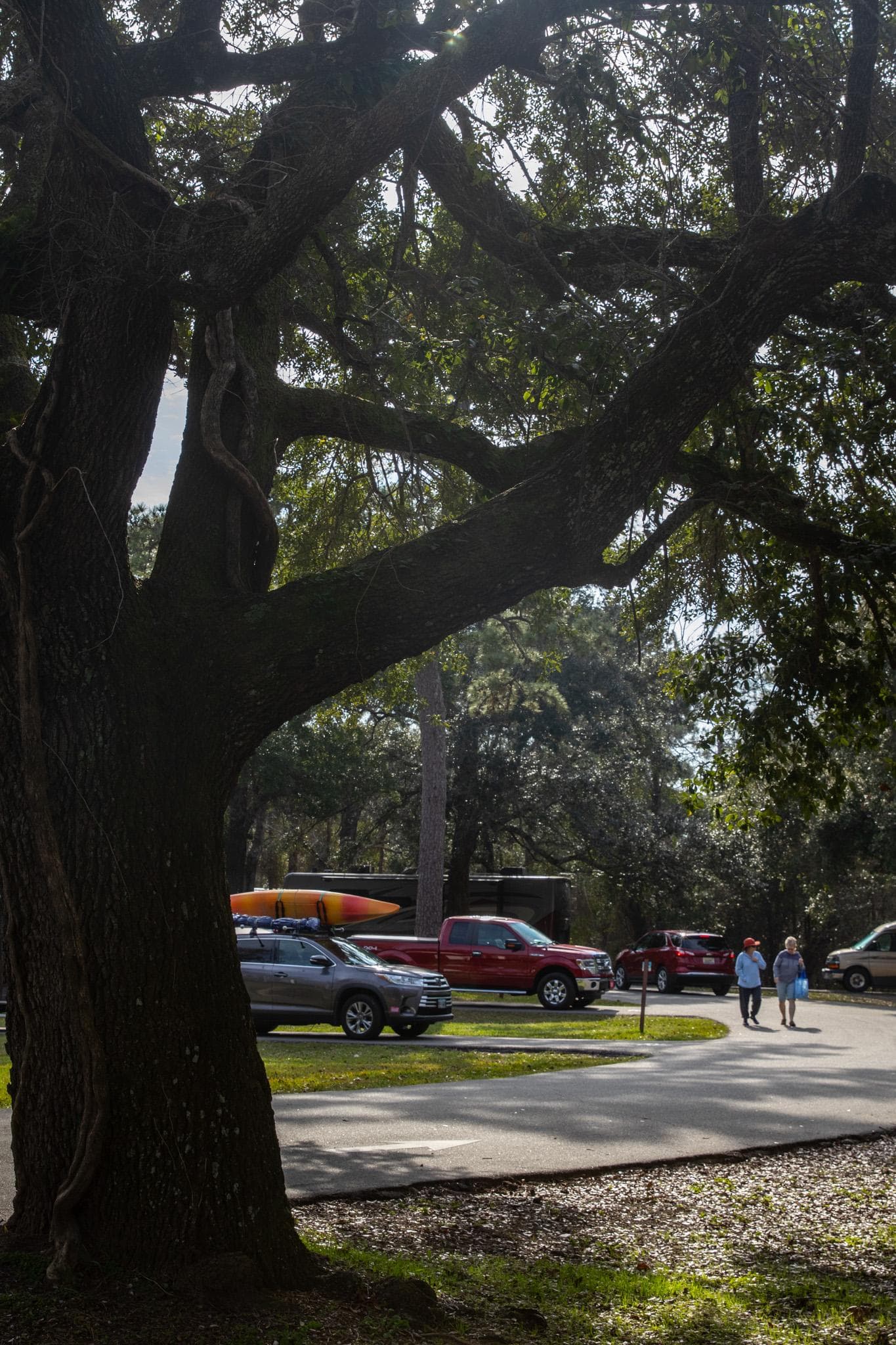 Davis Bayou Group Campground