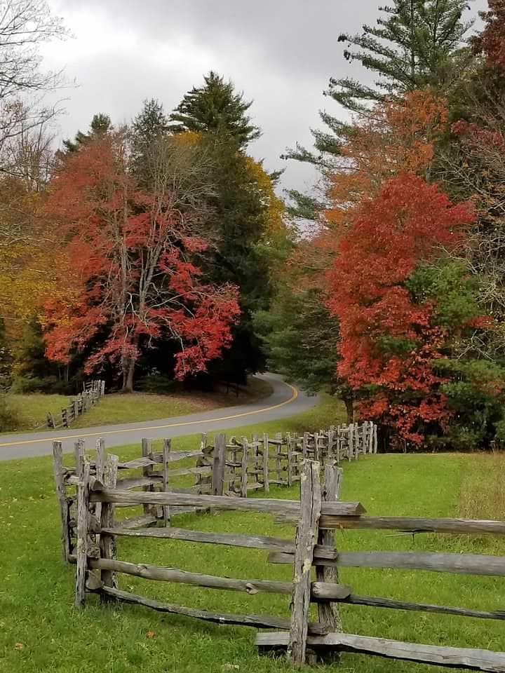 Fall colors glow on cloudy days in the Linville Falls area.