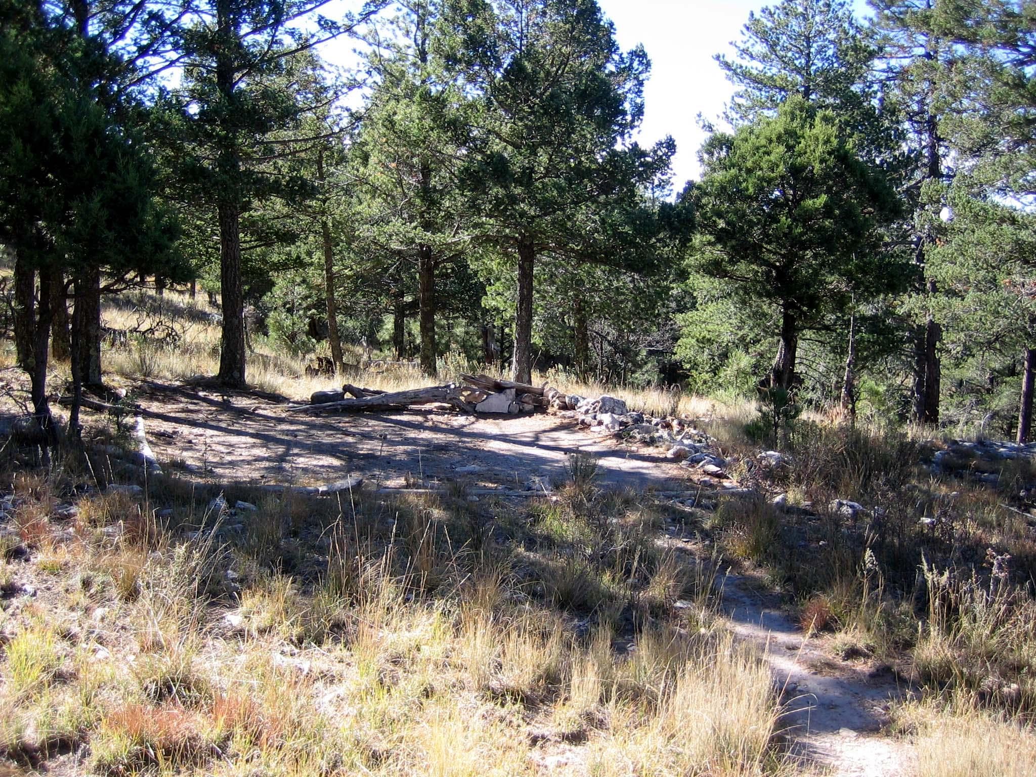 Bush Mountain Wilderness Campground