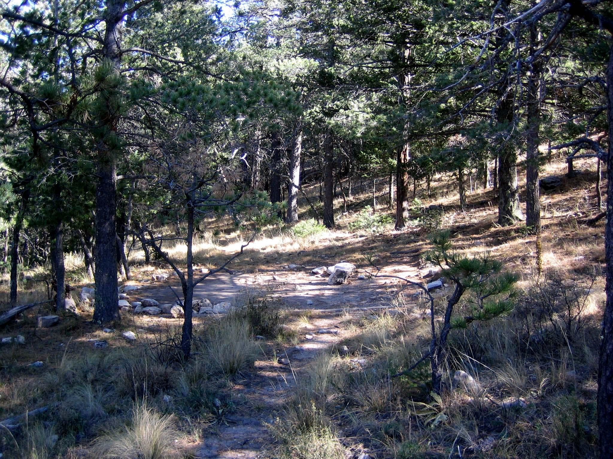 Bush Mountain tent pad