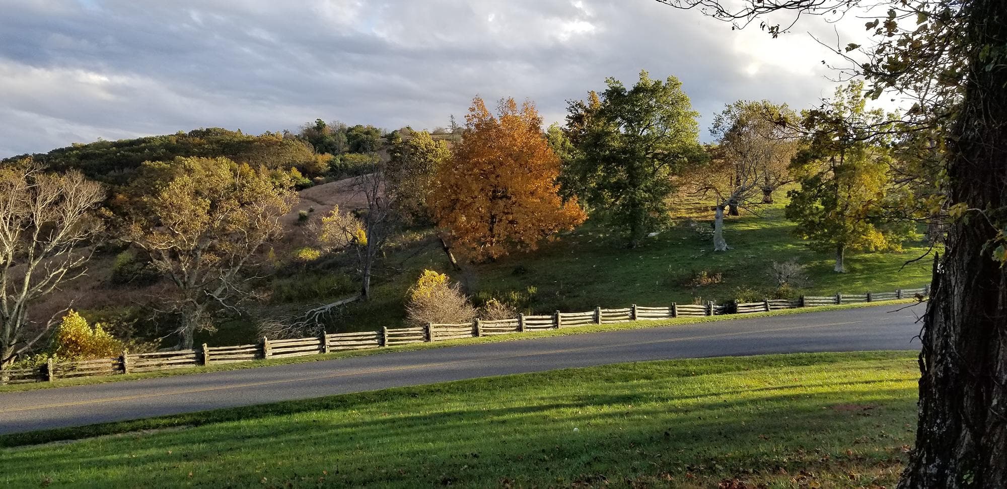 The Rock Castle Gorge Trail can be accessed from the Rocky Knob Campground