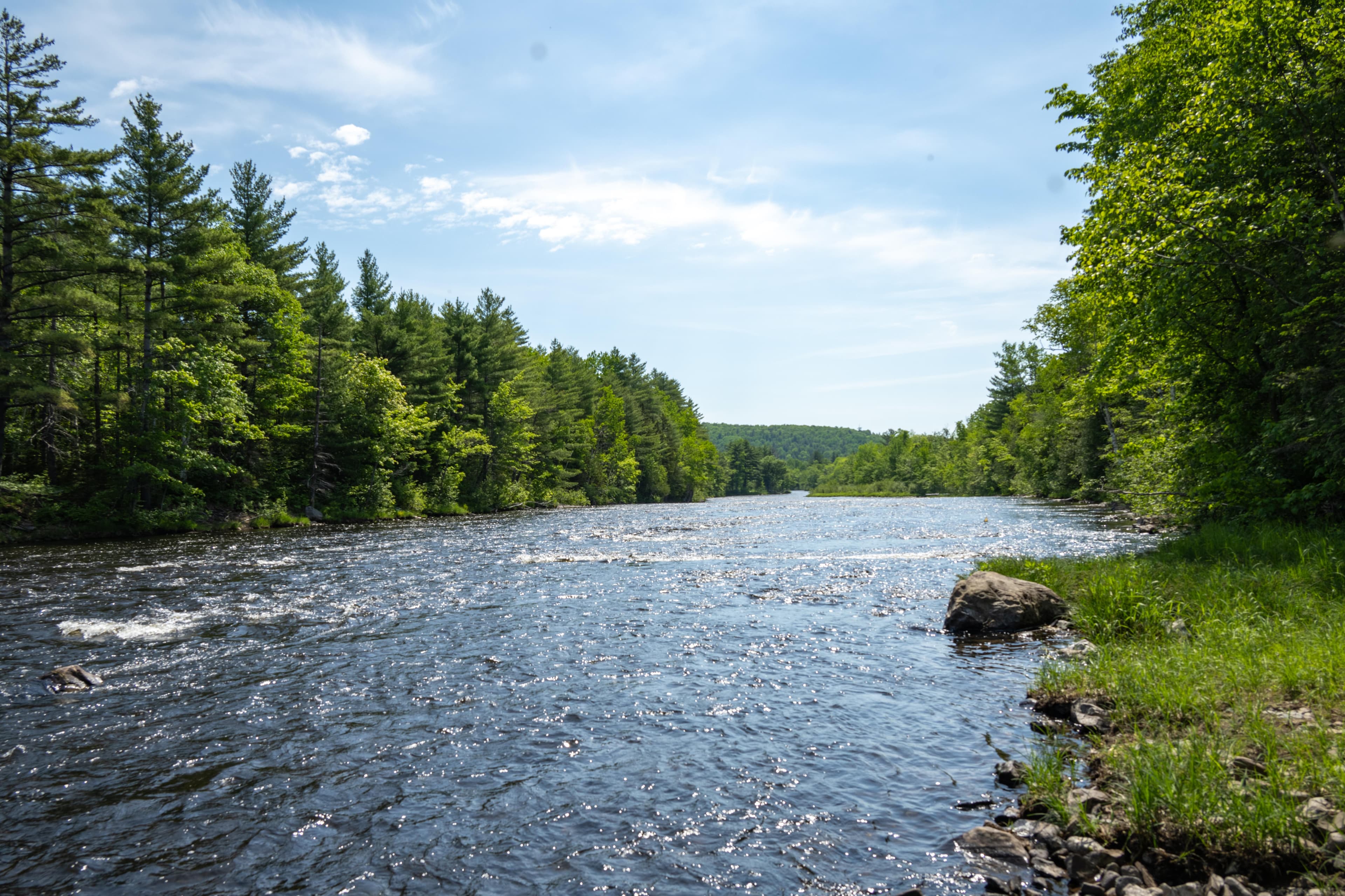 Enjoy the sounds and sights of the East Branch of the Penobscot River along the campsite.