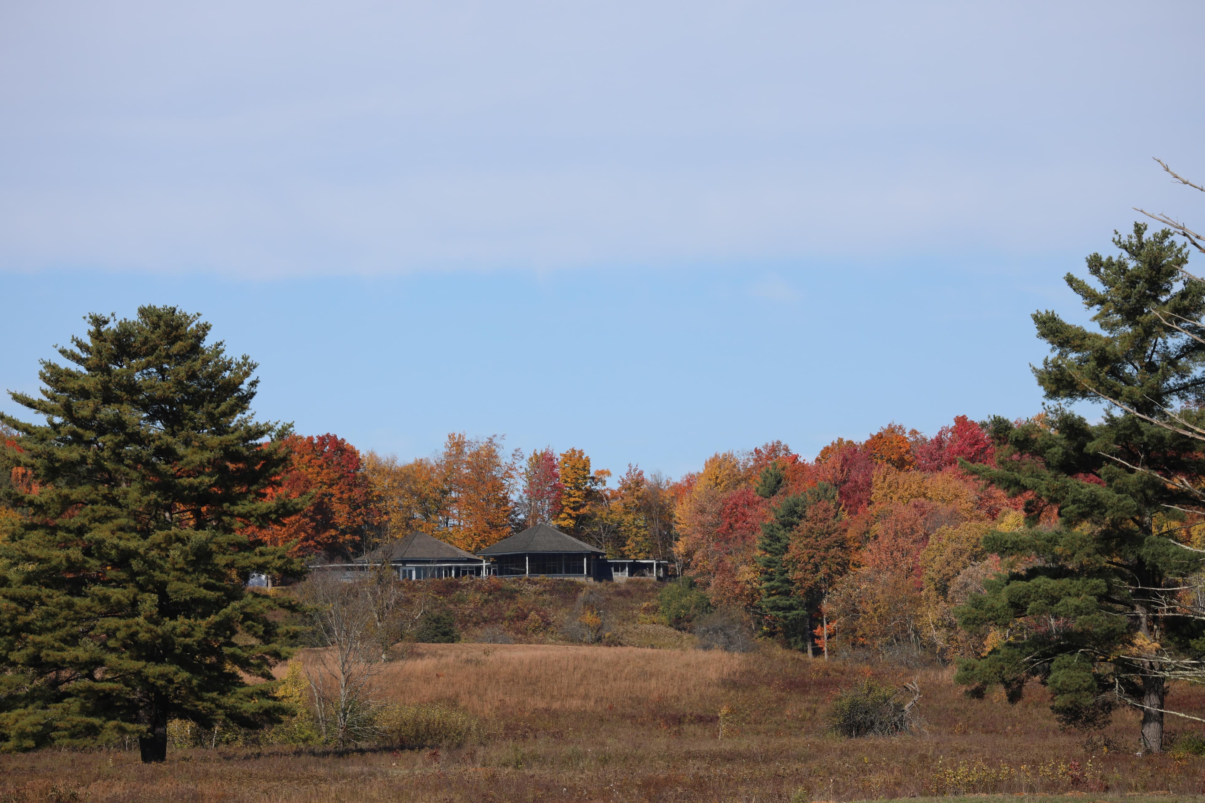 Our Visitor Center boasts a scenic view overlooking part of the Battlefield.